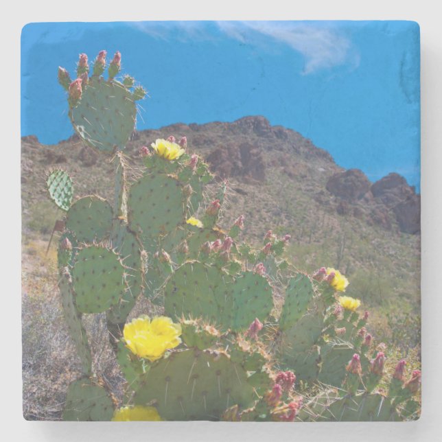 USA, Arizona. Cactus In The Hills Stone Coaster (Front)