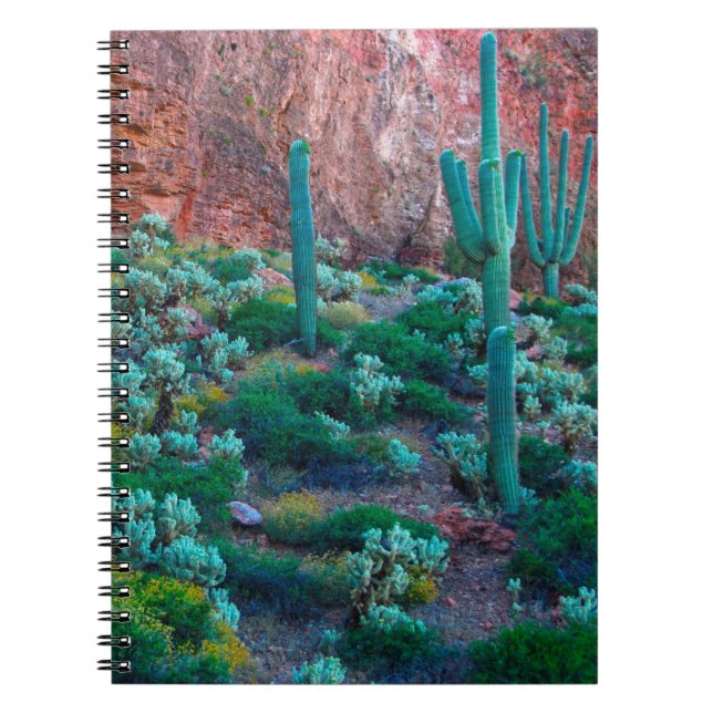 USA, Arizona. Desert Flora Notebook (Front)