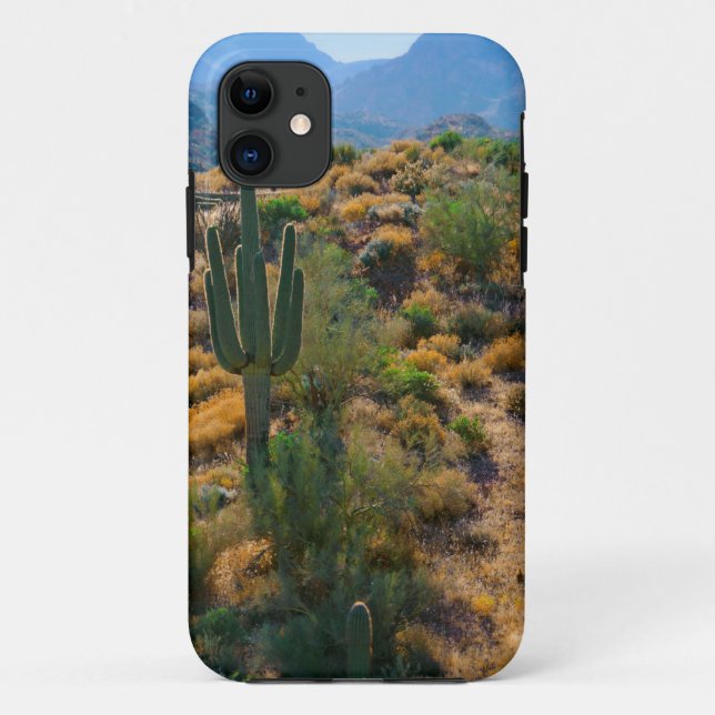 USA, Arizona. Desert View Case-Mate iPhone Case (Back)