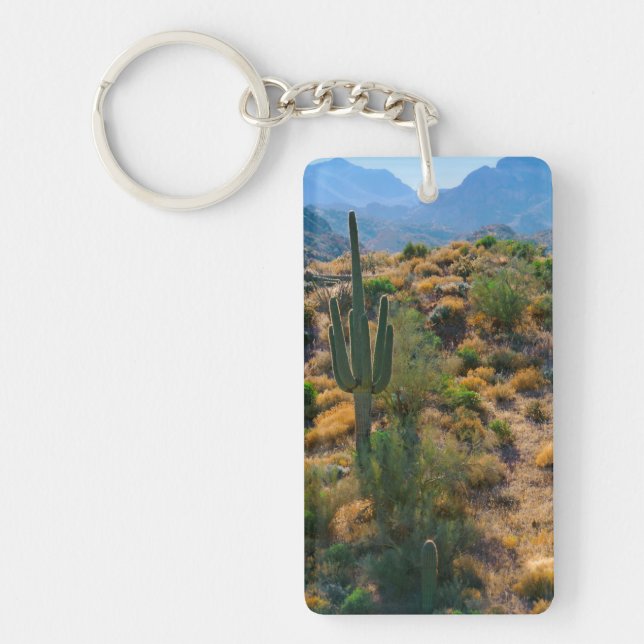 USA, Arizona. Desert View Keychain (Front)