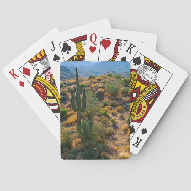 USA, Arizona. Desert View Poker Cards (Back)