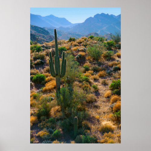 USA Arizona Desert View Poster