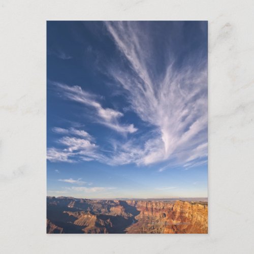 USA Arizona Grand Canyon 3 Postcard