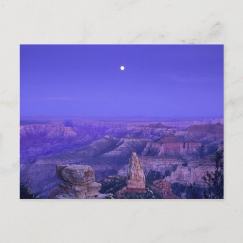 USA Arizona Grand Canyon National Park Postcard