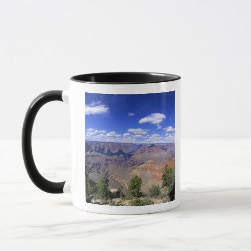USA Arizona Grand Canyon National Park South Mug