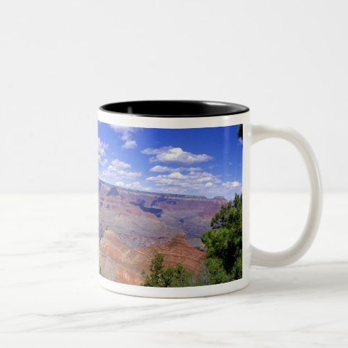 USA Arizona Grand Canyon National Park South Two_Tone Coffee Mug