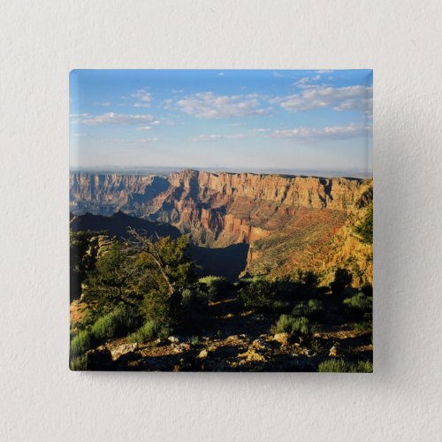 USA Arizona Grand Canyon National Park View Button