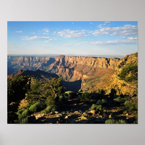 USA Arizona Grand Canyon National Park View Poster