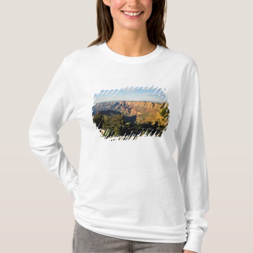 USA Arizona Grand Canyon National Park View T_Shirt