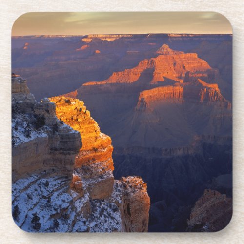 USA Arizona Grand Canyon National Park Winter Drink Coaster