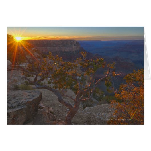 USA, Arizona, Grand Canyon, Yavapi Point at (Front Horizontal)