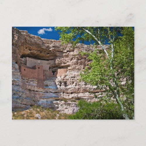 USA Arizona Montezuma Castle The Ruins Postcard