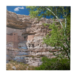 USA, Arizona. Montezuma Castle, The Ruins Tile
