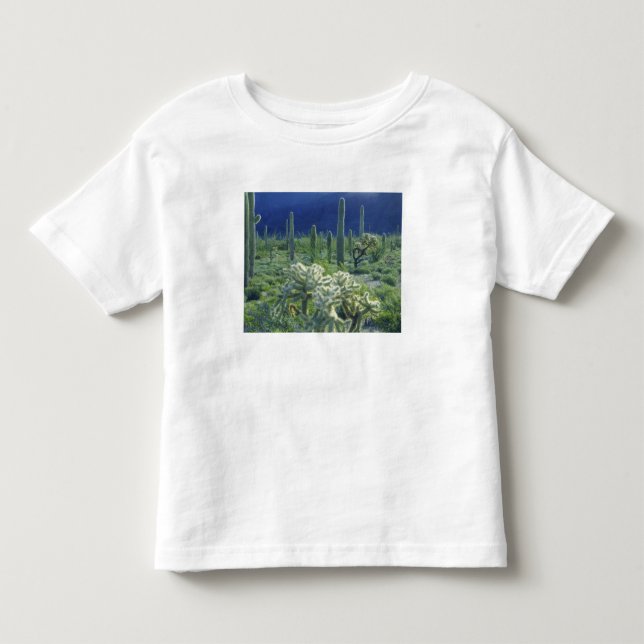 USA, Arizona, Organ Pipe Cactus National Toddler T-shirt (Front)