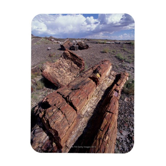 USA, Arizona, Petrified Forest National Park, 2 Magnet (Vertical)