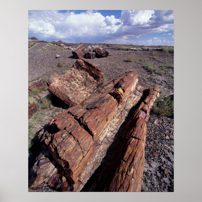 USA, Arizona, Petrified Forest National Park, 2 Poster (Front)