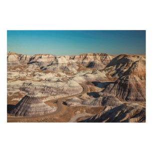 USA, Arizona, Petrified Forest National Park Wood Wall Art