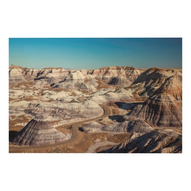USA, Arizona, Petrified Forest National Park Wood Wall Art (Front)