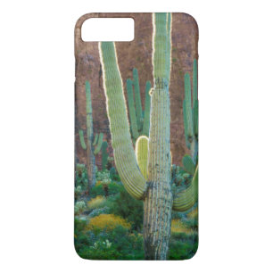 USA, Arizona. Saguaro Cactus Field By A Cliff iPhone 8 Plus/7 Plus Case