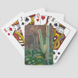 USA, Arizona. Saguaro Cactus Field By A Cliff Poker Cards