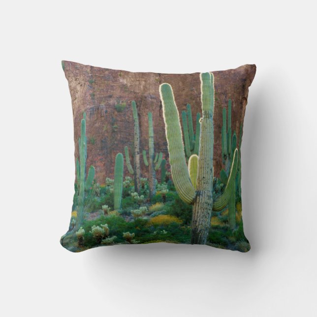 USA, Arizona. Saguaro Cactus Field By A Cliff Throw Pillow (Front)