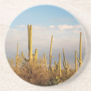 USA, Arizona, Saguaro National Park, Saguaro Drink Coaster