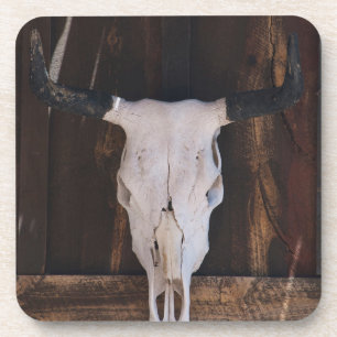 USA, Arizona. Skull On A Shop Wall Beverage Coaster