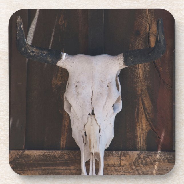 USA, Arizona. Skull On A Shop Wall Beverage Coaster (Front)