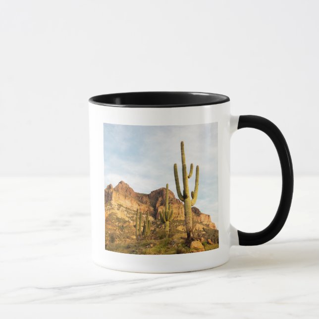 USA, Arizona, Tonto National Forest, Picketpost 2 Mug (Right)