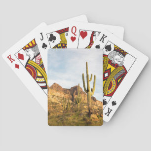USA, Arizona, Tonto National Forest, Picketpost 2 Poker Cards