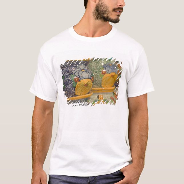 USA, Arizona, Tubac: South Arizona's Premier 2 T-Shirt (Front)