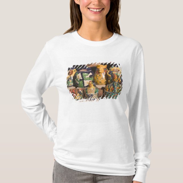 USA, Arizona, Tubac: South Arizona's Premier T-Shirt (Front)