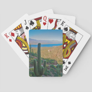 USA, Arizona. View From The Entrance To Tonto Poker Cards