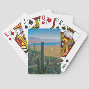 USA, Arizona. View From The Entrance To Tonto Poker Cards