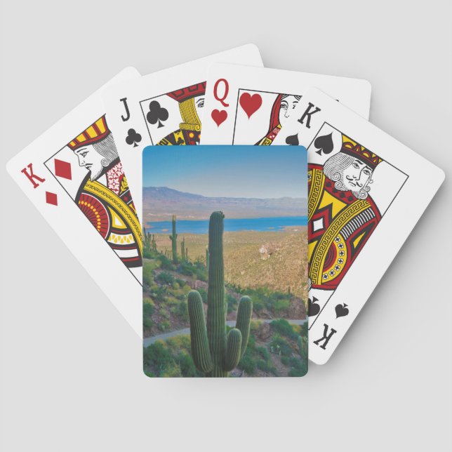 USA, Arizona. View From The Entrance To Tonto Poker Cards (Back)