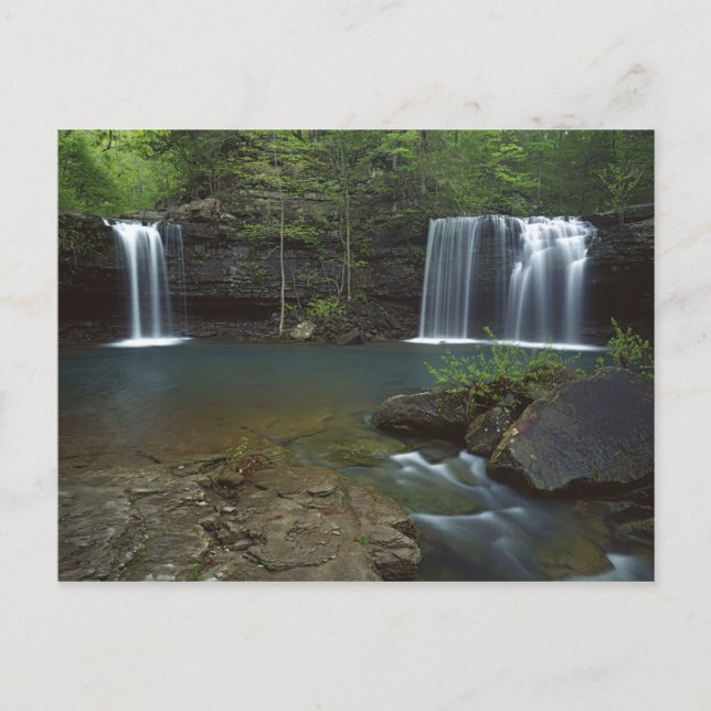 USA, Arkansas, Ozark- St Francis National Postcard (Front)