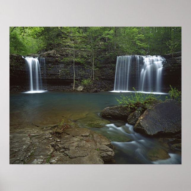 USA, Arkansas, Ozark- St Francis National Poster (Front)