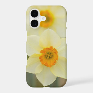 USA, Arlington, Virginia, closeup of white iPhone 17 Case