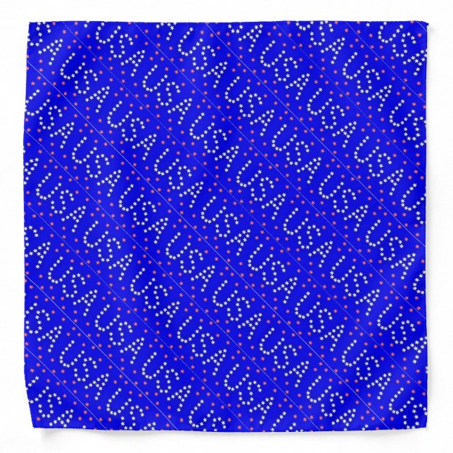 USA-Brilliant Bandana (Front)