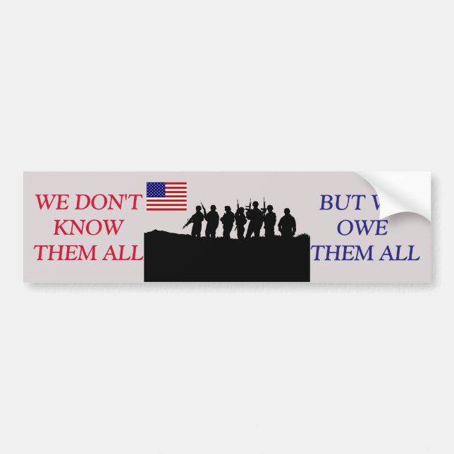 USA BUMPER STICKER (Front)