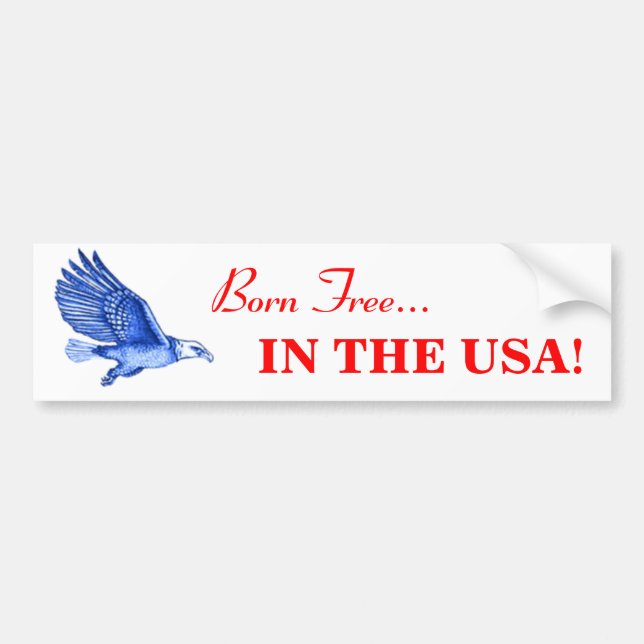 USA BUMPER STICKER (Front)