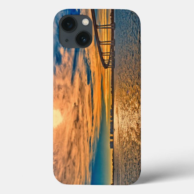 USA, CA, San Diego Coronado Bay Bridge Case-Mate iPhone Case (Back)