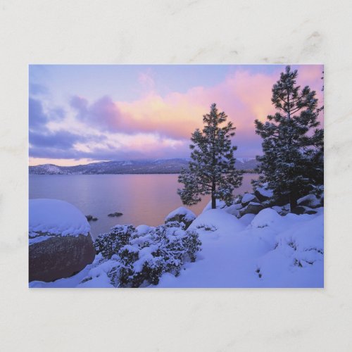 USA California A winter day at Lake Tahoe Postcard