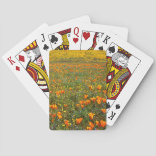 USA, California, Antelope Valley California Poker Cards
