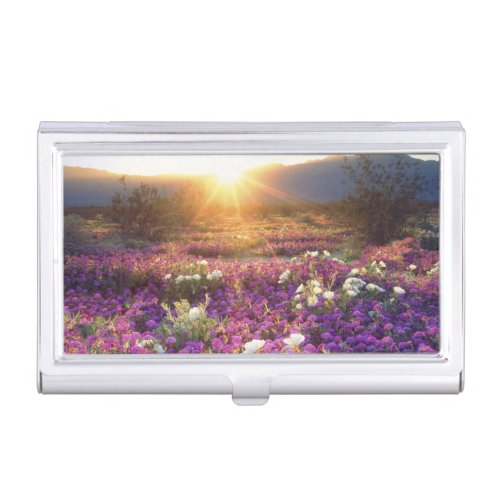 USA California Anza_Borrego Desert State Park 2 Business Card Holder