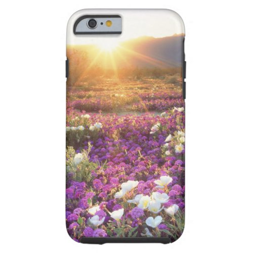 USA California Anza_Borrego Desert State Park 2 Tough iPhone 6 Case