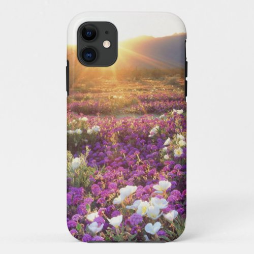 USA California Anza_Borrego Desert State Park 2 iPhone 11 Case