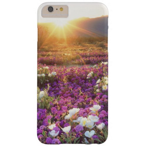 USA California Anza_Borrego Desert State Park 2 Barely There iPhone 6 Plus Case