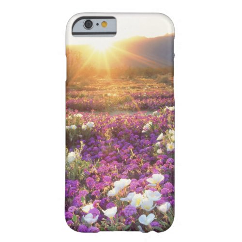 USA California Anza_Borrego Desert State Park 2 Barely There iPhone 6 Case