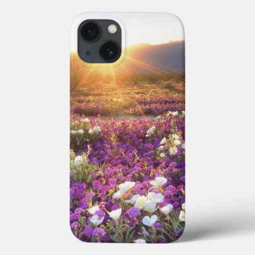 USA California Anza_Borrego Desert State Park 2 iPhone 13 Case